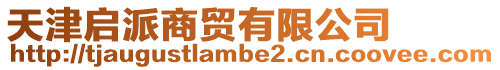 天津啟派商貿有限公司