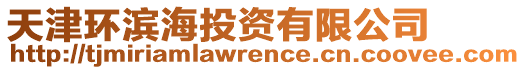 天津環(huán)濱海投資有限公司