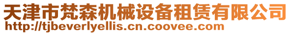 天津市梵森機械設(shè)備租賃有限公司