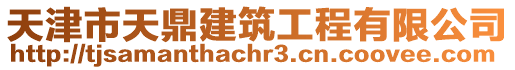 天津市天鼎建筑工程有限公司