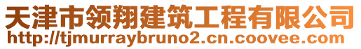 天津市領(lǐng)翔建筑工程有限公司