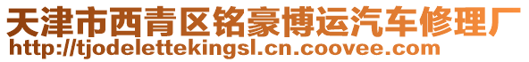 天津市西青區(qū)銘豪博運汽車修理廠