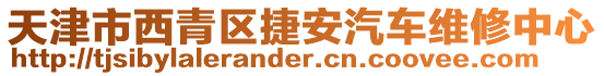 天津市西青區(qū)捷安汽車維修中心
