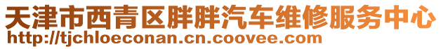 天津市西青區(qū)胖胖汽車維修服務(wù)中心