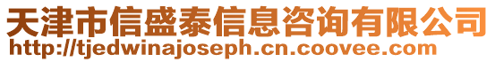 天津市信盛泰信息咨詢有限公司