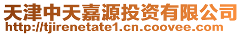 天津中天嘉源投資有限公司