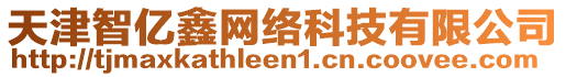 天津智億鑫網(wǎng)絡(luò)科技有限公司