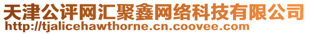 天津公評網(wǎng)匯聚鑫網(wǎng)絡(luò)科技有限公司