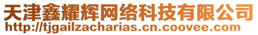 天津鑫耀輝網絡科技有限公司