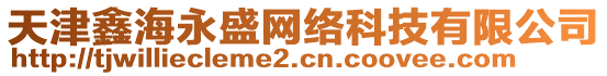天津鑫海永盛網絡科技有限公司