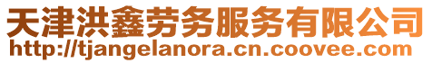 天津洪鑫勞務(wù)服務(wù)有限公司