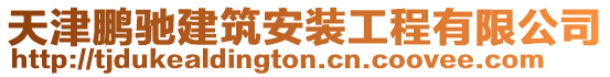 天津鵬馳建筑安裝工程有限公司