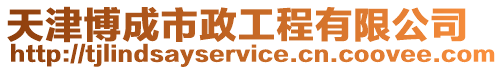 天津博成市政工程有限公司