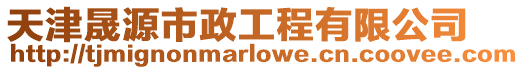 天津晟源市政工程有限公司