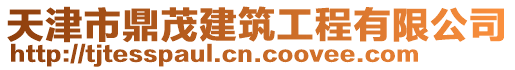 天津市鼎茂建筑工程有限公司