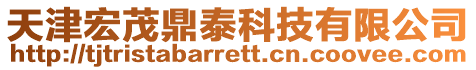 天津宏茂鼎泰科技有限公司