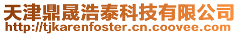 天津鼎晟浩泰科技有限公司