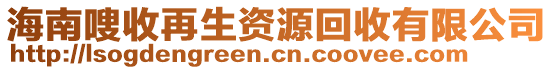 海南嗖收再生資源回收有限公司