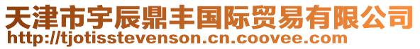 天津市宇辰鼎豐國際貿易有限公司