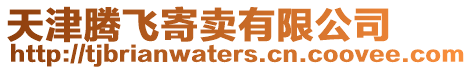 天津騰飛寄賣有限公司