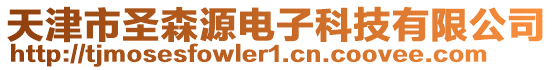 天津市圣森源電子科技有限公司