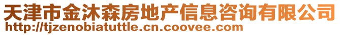 天津市金沐森房地產信息咨詢有限公司