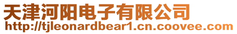 天津河陽電子有限公司