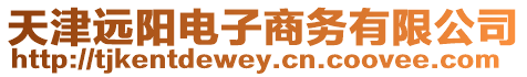 天津遠陽電子商務有限公司