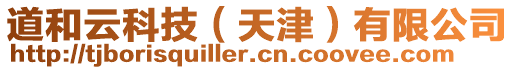 道和云科技（天津）有限公司