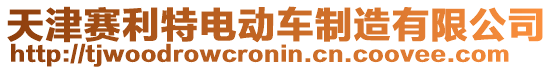 天津賽利特電動車制造有限公司