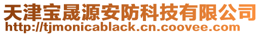 天津寶晟源安防科技有限公司