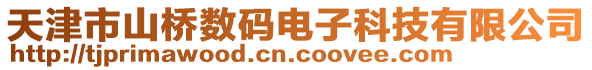 天津市山桥数码电子科技有限公司