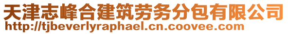 天津志峰合建筑勞務(wù)分包有限公司