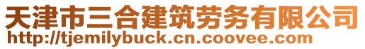 天津市三合建筑勞務(wù)有限公司