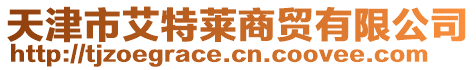 天津市艾特萊商貿(mào)有限公司
