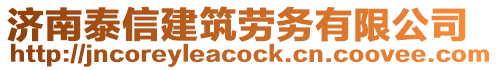 濟(jì)南泰信建筑勞務(wù)有限公司