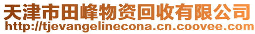 天津市田峰物資回收有限公司