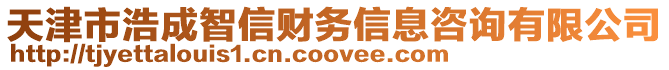 天津市浩成智信財務信息咨詢有限公司