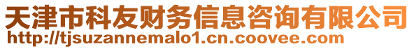 天津市科友財(cái)務(wù)信息咨詢有限公司