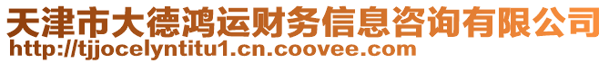 天津市大德鴻運(yùn)財(cái)務(wù)信息咨詢有限公司