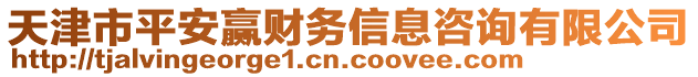 天津市平安贏財(cái)務(wù)信息咨詢有限公司