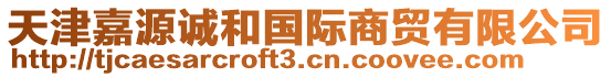 天津嘉源誠(chéng)和國(guó)際商貿(mào)有限公司