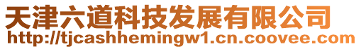 天津六道科技發展有限公司