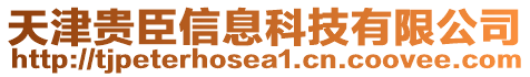 天津貴臣信息科技有限公司