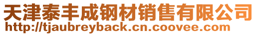 天津泰豐成鋼材銷售有限公司