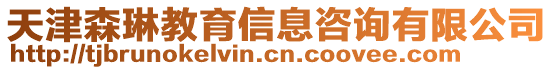 天津森琳教育信息咨詢有限公司