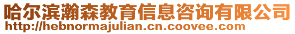 哈爾濱瀚森教育信息咨詢有限公司