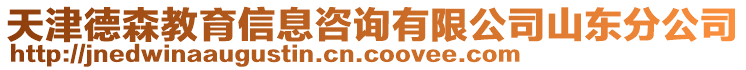 天津德森教育信息咨询有限公司山东分公司