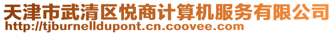 天津市武清區(qū)悅商計算機(jī)服務(wù)有限公司