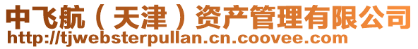 中飛航(天津)資產管理有限公司